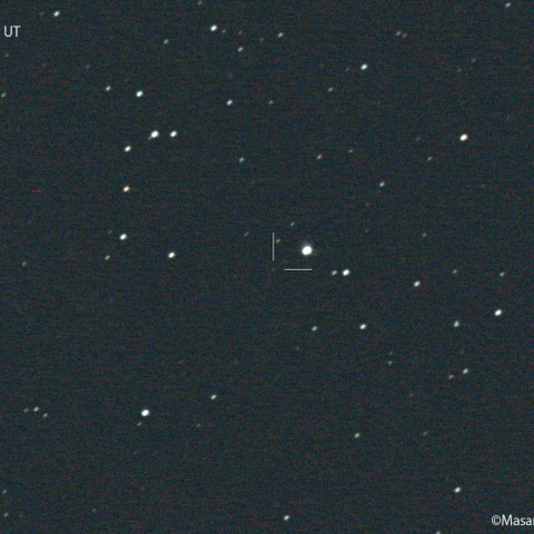 小島彗星 ( 70P ) : 2022/05/03