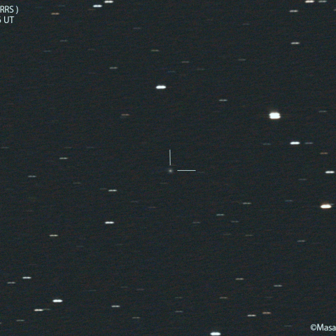 パンスターズ彗星 ( C/2019U5 ) :2022/05/05