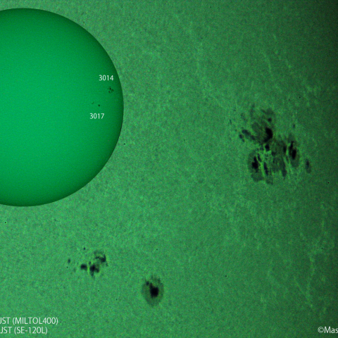 太陽黒点 : 2022/05/25