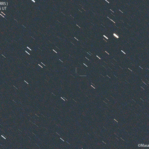 パンスターズ彗星 (C/2021O3) : 2022/05/23