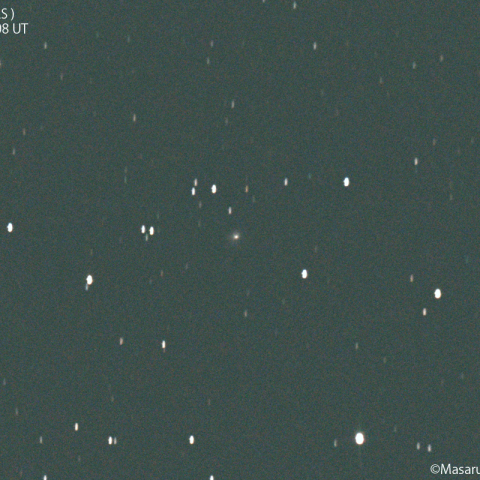 アトラス彗星 (C/2019T4) : 2022/05/04