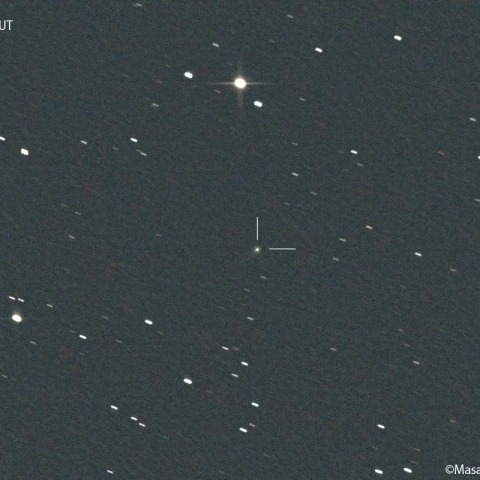 ズィーティーエフ彗星 (C/2020V2)：2022/05/05