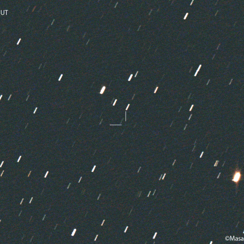 ズィーティーエフ彗星(C/2021 D2)：2022/05/05