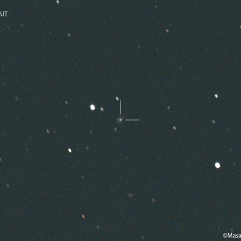 アトラス彗星 (C/2019T4) : 2022/05/29