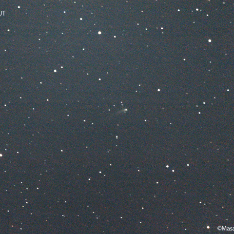 ズィーティーエフ彗星 (C/2022E3)  : 2022/08/18