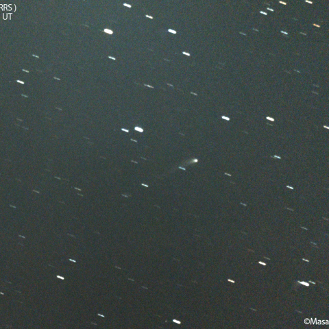 ズィーティーエフ彗星 (C/2022E3)  : 2022/08/19