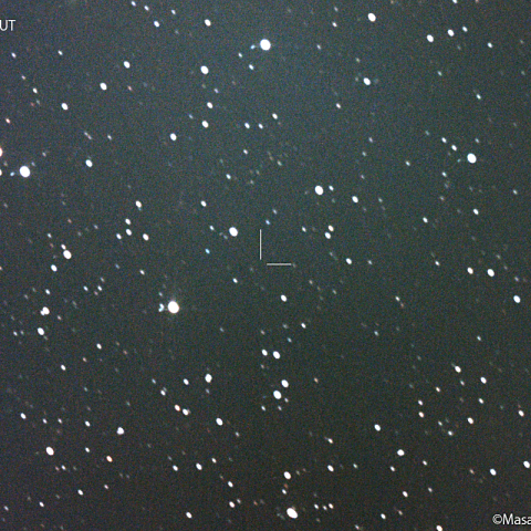 ポンス-ブルックス彗星 (12P)の予報位置：2022/08/18