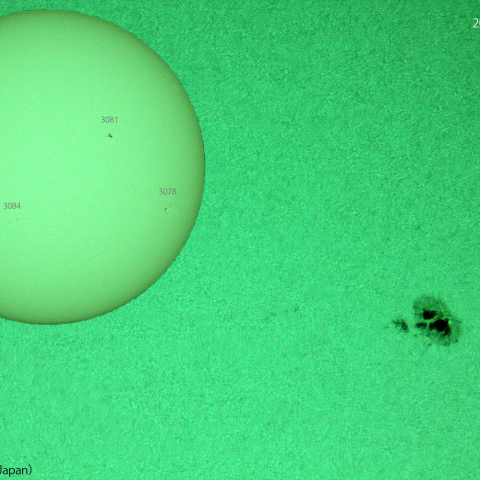 活動領域3081: 2022/08/19