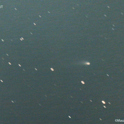 ズィーティーエフ彗星 (C/2022E3)  : 2022/09/26