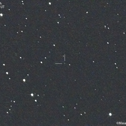 シャイン-シャルダハ彗星( 61P ): 2022/09/30