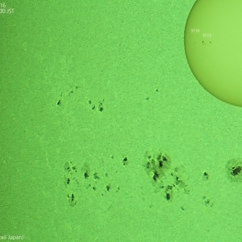 活動領域 3112、3116 : 2022/10/04