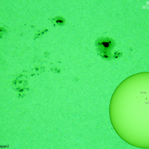 活動領域 3112、3116 : 2022/10/08