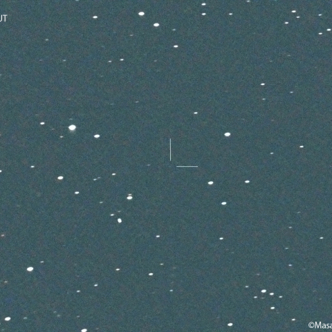 マクノート彗星 (442P) : 2022/10/01