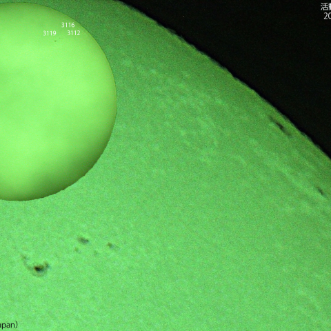 活動領域 3112，3116，3119 : 2022/10/14