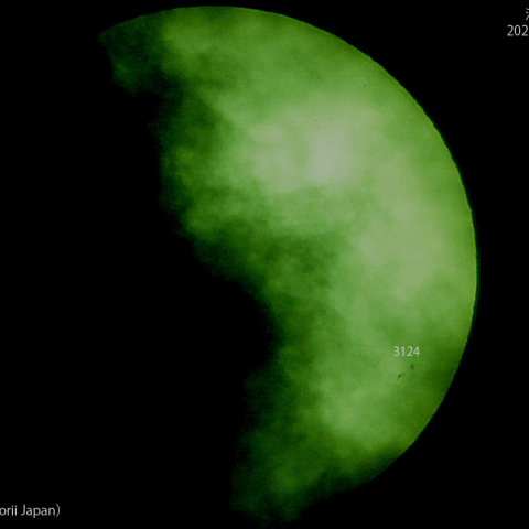 活動領域 3124 : 2022/10/17