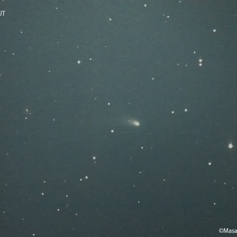 ズィーティーエフ彗星 (C/2022E3)  : 2022/10/20