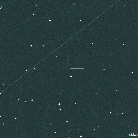 マクノート彗星 (442P) : 2022/10/20