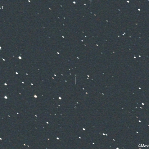 シャイン-シャルダハ彗星( 61P ) : 2022/10/19