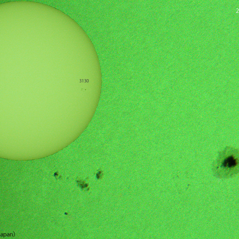 活動領域 3131,3133 : 2022/10/28