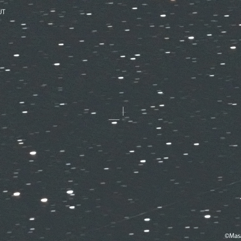 パーカー-ハートレー彗星（119P） : 2022/10/21