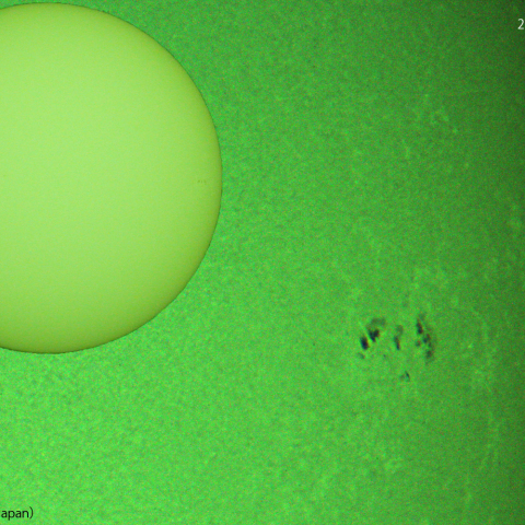 活動領域 3130: 2022/10/29