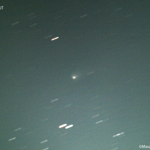 ビルト第２彗星 ( 81P )：2022/10/30