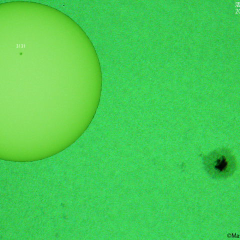 活動領域 3131 : 2022/10/31