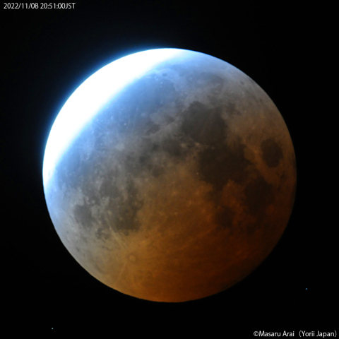 ブルーベルト：2022/11/08