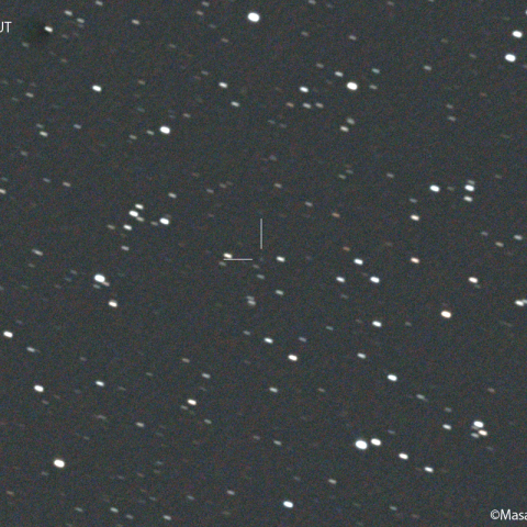 ラインムート彗星( 44P ) : 2022/10/30