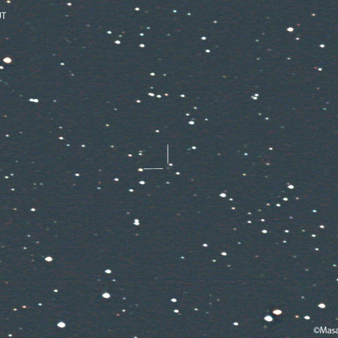 パーカー-ハートレー彗星（119P） : 2022/11/19