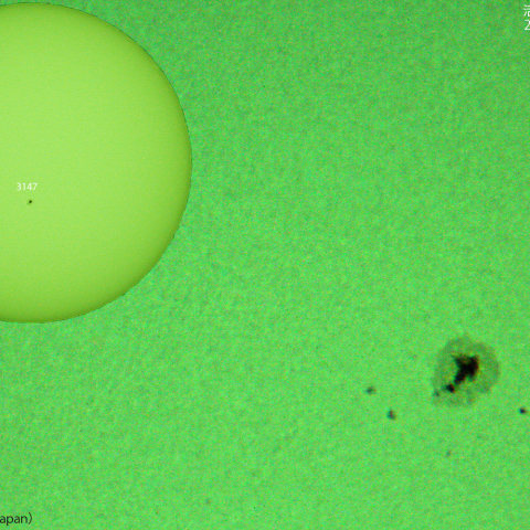 活動領域 3147 : 2022/11/22