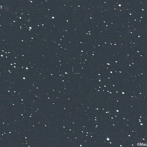 ラインムート彗星( 44P ) : 2022/11/19
