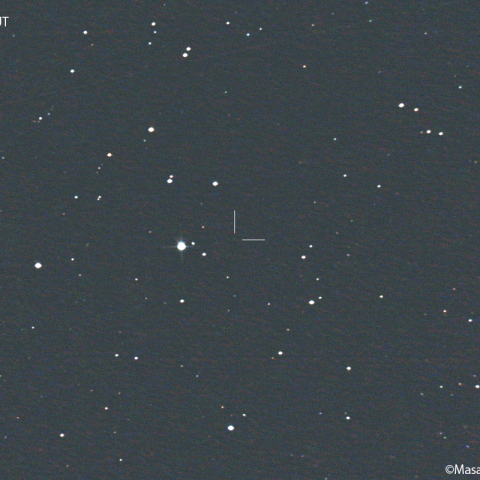 コプフ彗星 (22P)  : 2022/11/21