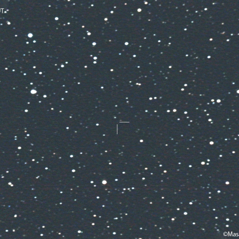 ジェディキ彗星 (179P)  : 2022/11/19