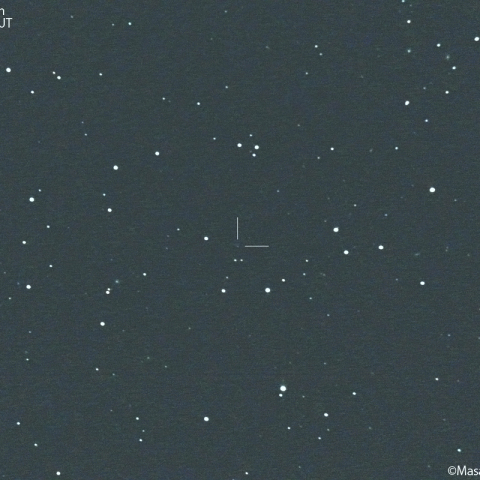 シャイン-シャルダハ彗星( 61P ) : 2022/11/25