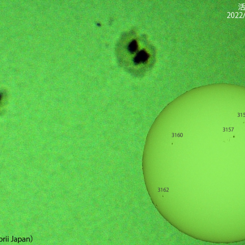 活動領域 3153 : 2022/12/10