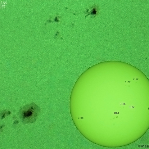 活動領域 3162,3163,3166：2022/12/16