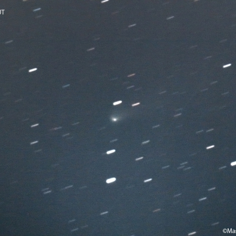 ビルト第2彗星 ( 81P ):2022/12/24