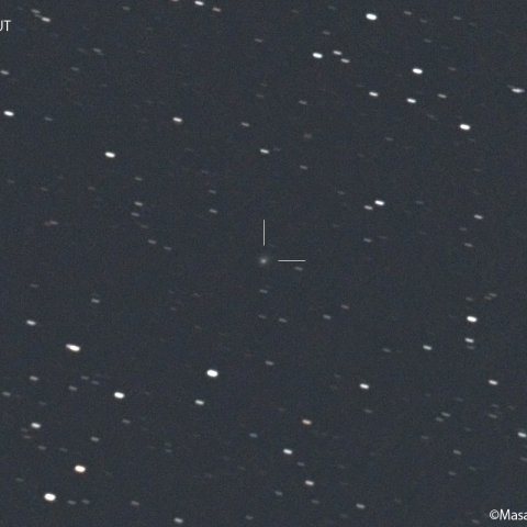 アトラス彗星 (C/2019T4) : 2022/12/25