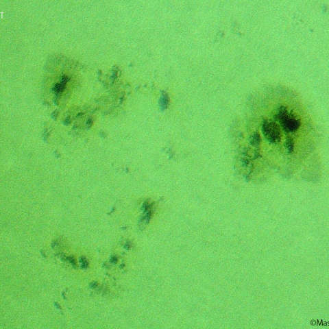 活動領域 3182：2023/01/08