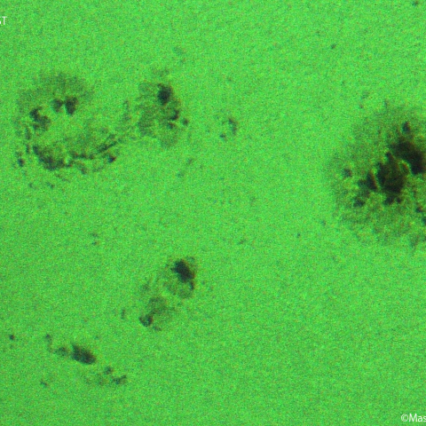 活動領域 3182：2023/01/09