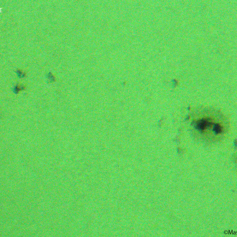活動領域 3184：2023/01/13