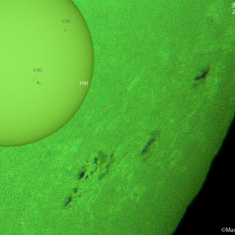 活動領域 3181：2023/01/13