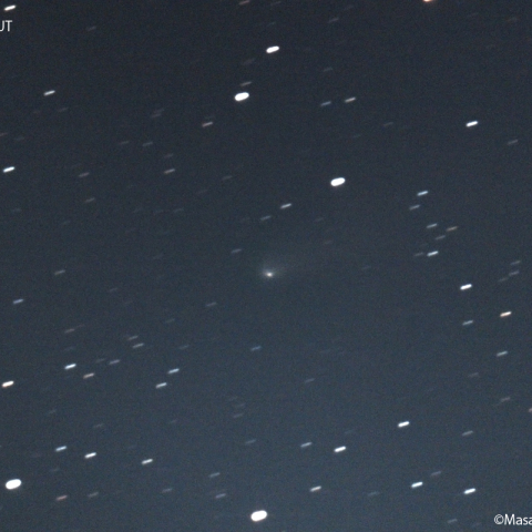 ビルト第2彗星 ( 81P ):2023/01/03