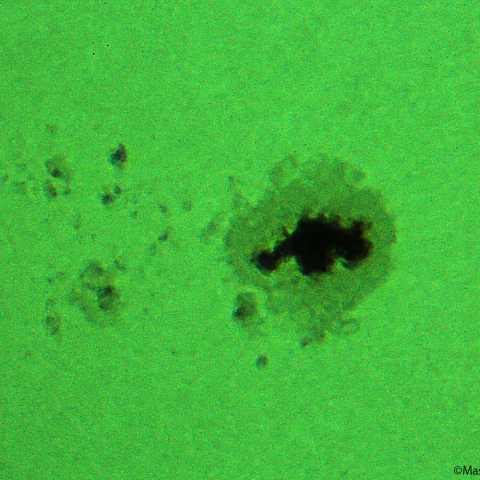 活動領域 3190：2023/01/17