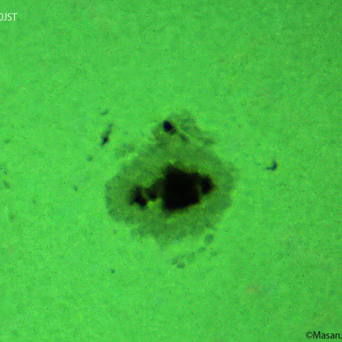 活動領域 3190：2023/01/22