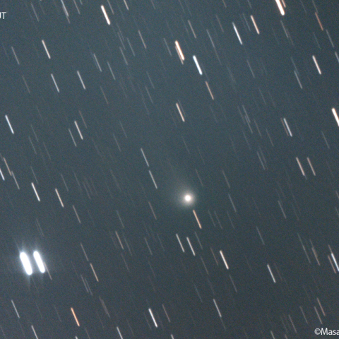 ズィーティーエフ彗星 (C/2020V2)：2023/01/02