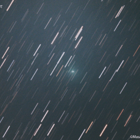 アトラス彗星 ( C/2022U2 )：2023/01/25