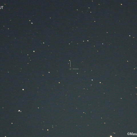 アトラス彗星 (C/2019 T4) : 2023/01/28