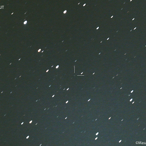 ロングモア彗星 (77P) :2023/01/29